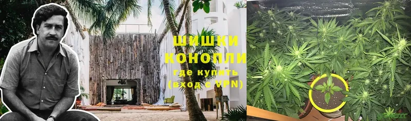 Конопля SATIVA & INDICA  даркнет сайт  Кулебаки 